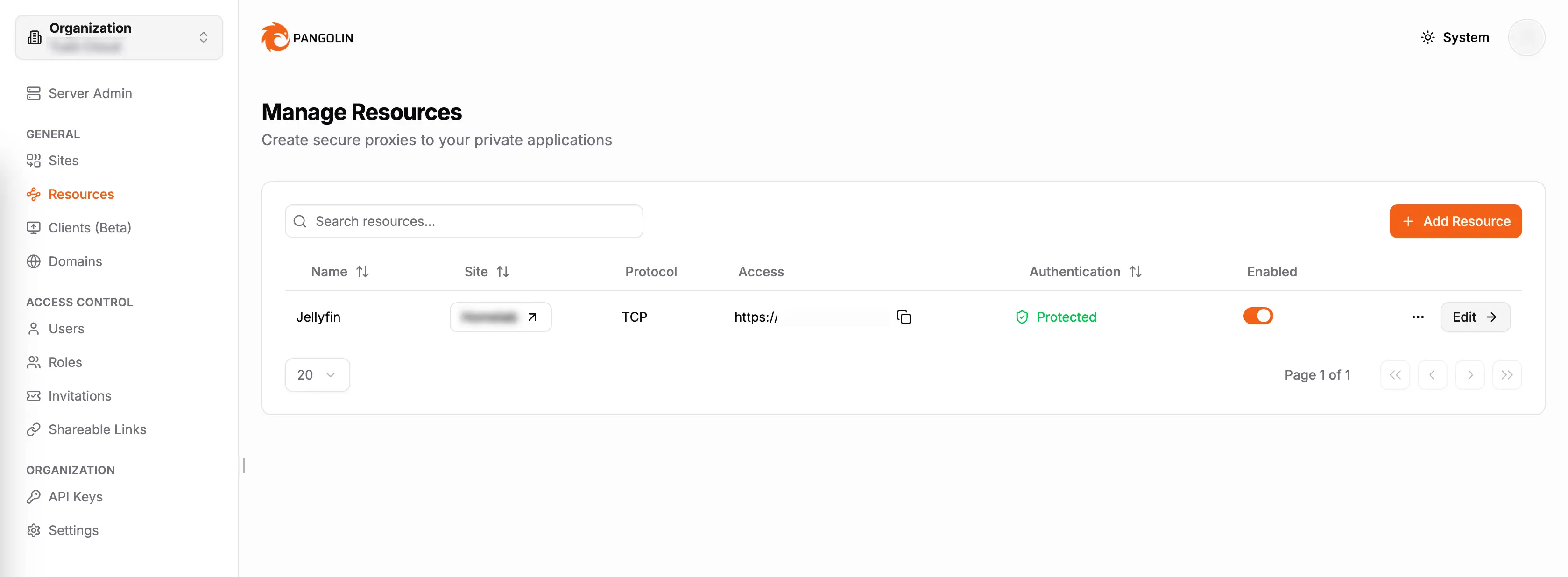 Jellyfin als angebundene Ressource im Pangolin Interface
